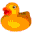 bushducks.com