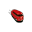 busnbug.com