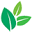 buyecogreen.com.au