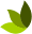 buygreen.com.mx