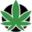 buylowgreen.com