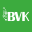 bvrb.by