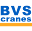 bvs.com.tr