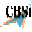 c-b-s-i.net