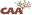 caa.org.br