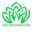 cactus-shop.com