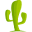 cactusvpn.com