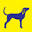 caes-e-cia.com.br