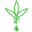 caexs.com