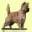 cairn-bries.de
