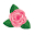 calbegonias.com