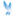 caledunews.com