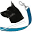 callicoma.com.au
