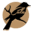 calxylian.com