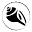 calypsoeditions.org