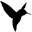 calypt.com