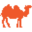 camelweb.com