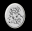 cameo3d.org