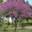 campingvalfleuri.fr