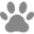 can-do-canines.org