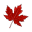 canadaflowers.ca