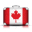 canadaluggagedepot.ca