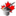 canadamagicshop.com