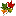 canadian-forests.com
