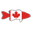 canadiantacklestore.com