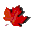 canadianxpress.ca