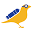 canary.com.br