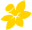 cancer.org.au