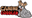 caninecoddler.com
