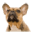 canino.ca