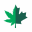 cann-can.ca