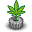 cannabiscultivationconsulting.com
