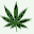 cannabisnews.com