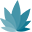 cannaconnection.com