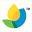 canolainfo.org