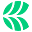 canopy.io