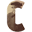 cantut.cat