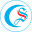 caosangauto.com