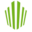 capbrevet.net
