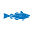 capecodchamber.com