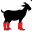 capranoastra.ro