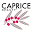 capricebeautybar.com