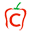 capsitech.com
