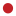 carazoosolutions.com