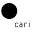cari.institute