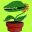 carnivor-plants.de
